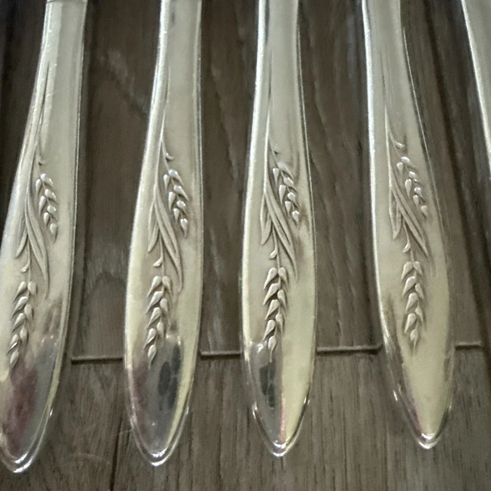Oneida Community 1960 SONG OF AUTUMN Hollow Dinner‎ Knives 9 1/8